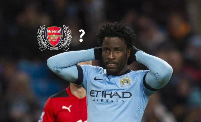 Bony new-1 Bony new