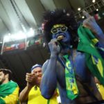 brazil fans 1