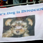 mourinho-dog-innocent