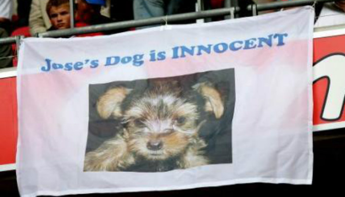 mourinho-dog-innocent