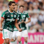 jean-for-palmeiras