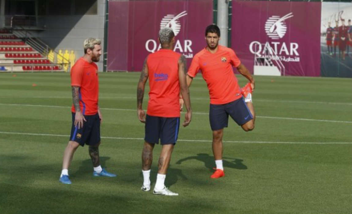 msn-training