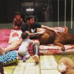 messi with mastiff