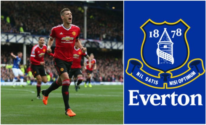 Manchester United Agree £22 Million Deal For Everton Target Morgan Schneiderlin