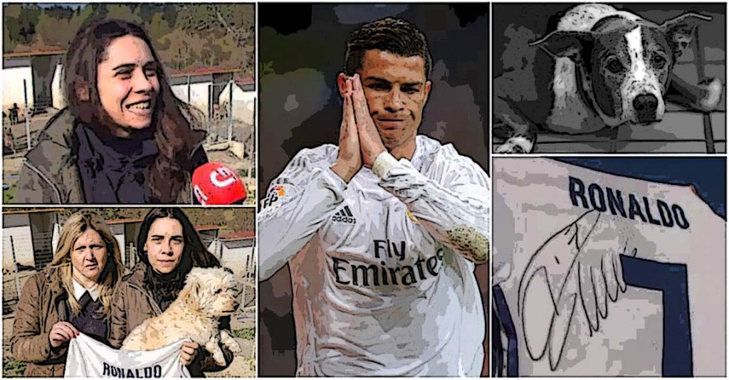 Ronaldo Steps In To Save 80 Dogs And Help Kennels From Closure