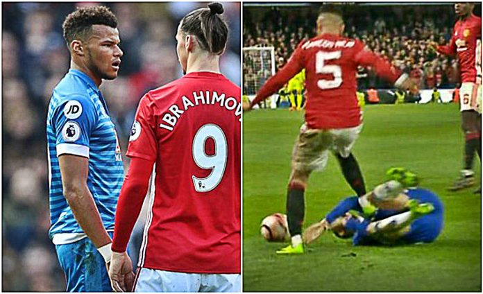 mings rojo zlatan