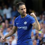 Spain star Fabregas benefited from a one-two with team-mate Morata to score his goal