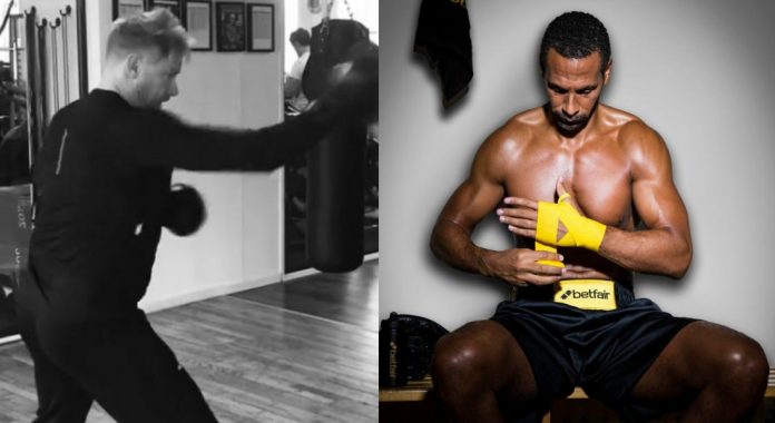 schmeichel ferdinand