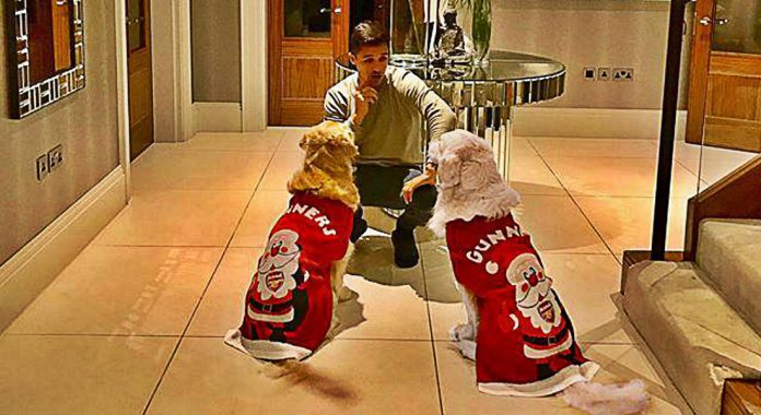 Alexis uploaded the snap of him and his dogs to this Instagram