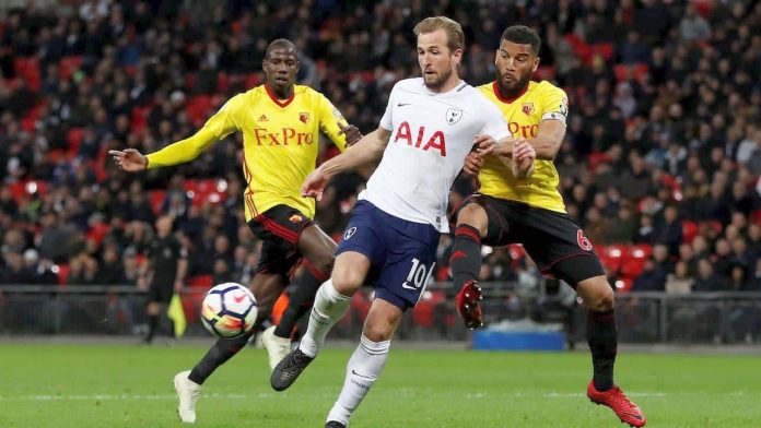 harry kane tottenham watford