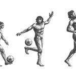 football-evolution-right