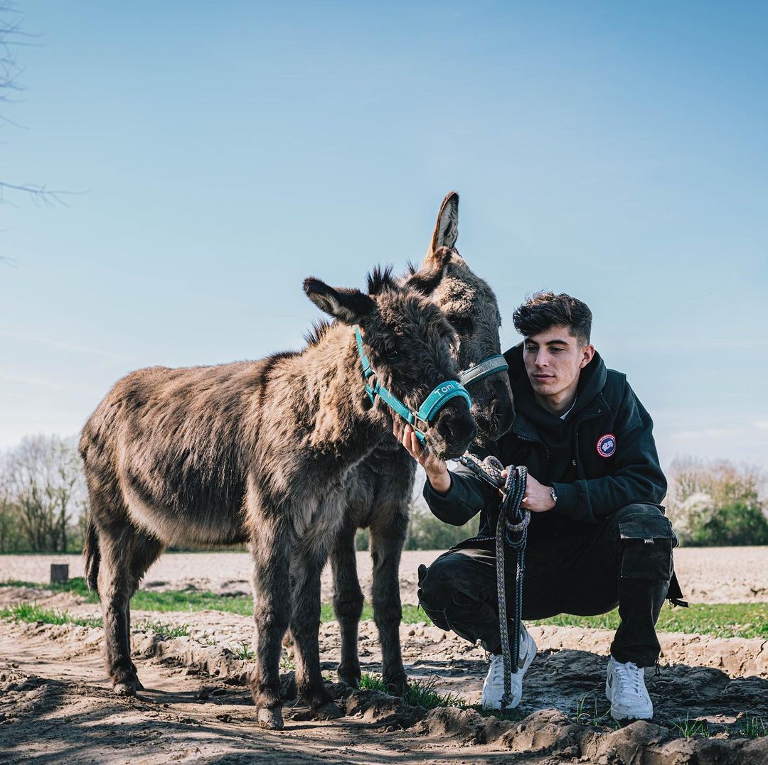 10 facts you do not know about Kai Havertz